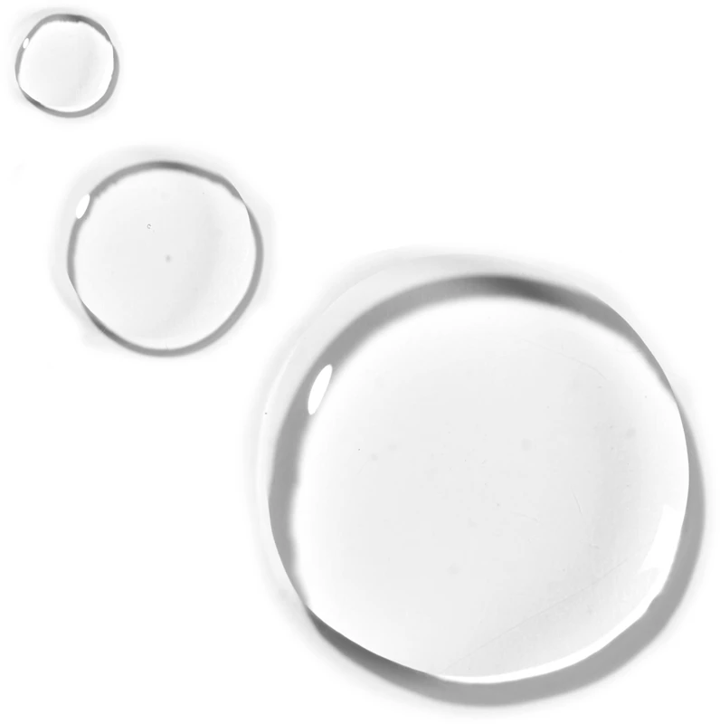 AHAVA Dead Sea Plants 2 AHAVA Dead Sea Plants – Image 2