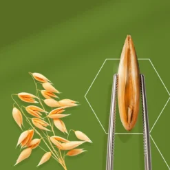 Aveeno Daily Moisturising Body Wash -Teint Lisse Soldes Magasin aveeno daily moisturising body wash creme de douche nourrissante intense 2