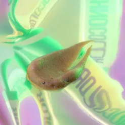 Bondi Sands Technocolor 1 Hour Express Emerald -Teint Lisse Soldes Magasin bondi sands technocolor 1 hour express emerald mousse auto bronzante 3