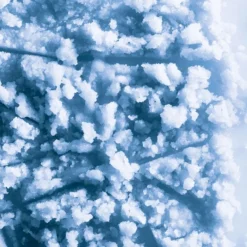 Collistar Special Perfect Body Talasso-Scrub -Teint Lisse Soldes Magasin collistar special perfect body talasso scrub gommage revitalisant corps 5