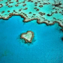 Hawaiian Tropic Self Tanning Foam 1-Hour Express -Teint Lisse Soldes Magasin hawaiian tropic self tanning foam 1 hour express mousse auto bronzante 2